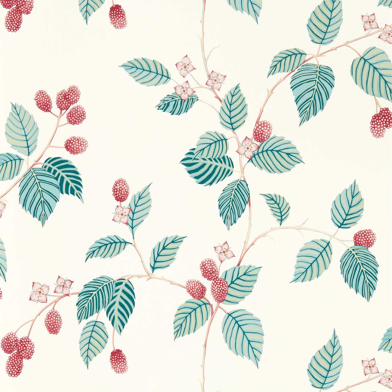 Rubus 217228